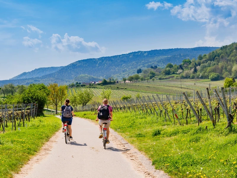 Zwei Radfahrer in den Weinbergen
