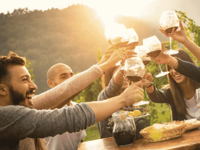 Freunde prosten sich mit Weingläsern zu
