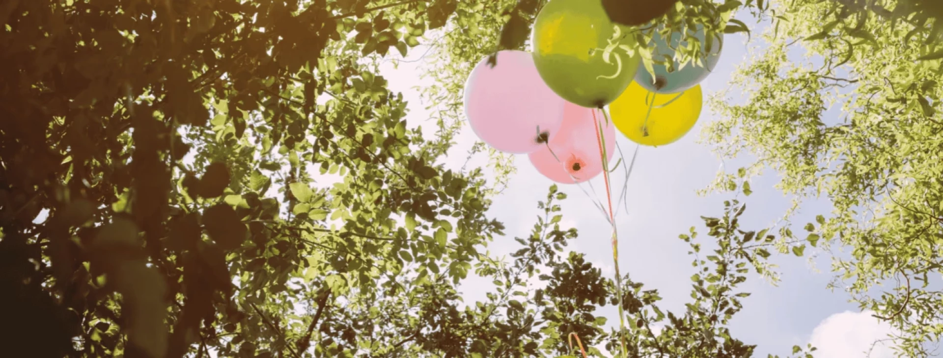 Bunte Ballons steigen zwischen Bäumen auf