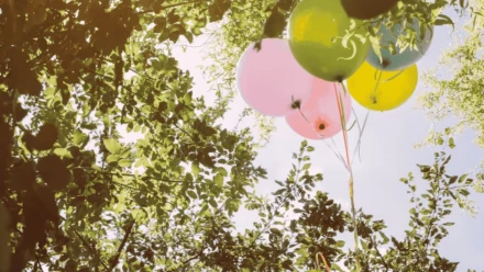 Bunte Ballons steigen zwischen Bäumen auf