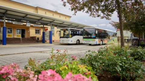 Bus in Delitzsch