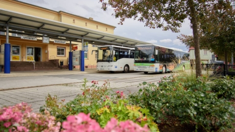 Bus am Unterer Bahnhof Delitzsch