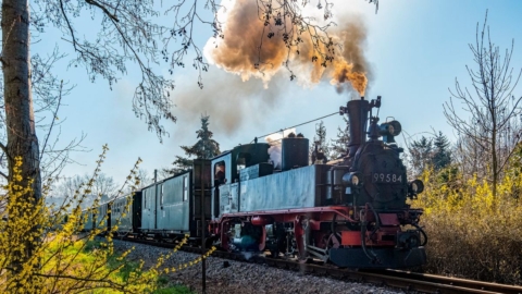 Dampffahrt der Döllnitzbahn durch die Natur bei Sonnenschein
