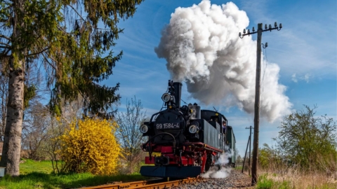 Dampffahrt der Döllnitzbahn bei Sonnenschein